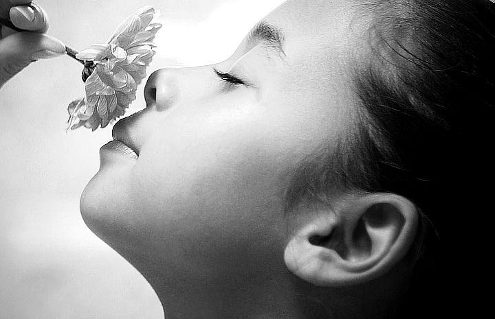 代理价格划算的ddos在线攻击测试网站